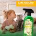Natural Peppermint Oil Spray for Pest Control - Eco-Friendly Mice and Rat Repellent - Humane Alternative to Traps - Buy Online on GoSupps.com