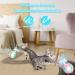 Interactive Cat Ball Toy with Bird Sound and LED Light | USB Charging | 360 Rolling Motion | Robotic Moving Toy for Indoor Cats - Buy Online on GoSupps.com