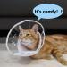 Crazy Felix Cat Cone - Soft Comfortable Collar for Cats, Blue - Neck 7-10 - Buy Online on GoSupps.com