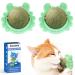 AUCENIX catnint balls toys for cats catnip wall rollers for cat licks tooth cleaning dental edible kitten toys natural rotating cat toys (2 pieces green)
