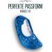 Buy Winning Podium Glitter Gymnastics Shoes for Kids Breathable Non-Slip Slippers (Size 24-40) in Blue Perfect for Girls & Boys Gymnastics & Ballet - Buy Online on GoSupps.com