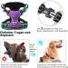 Adjustable No-Pull Dog Harness for Small Dogs - Breathable & Reflective - Purple XS (Chest 33-43cm) - Heele - Buy Online on GoSupps.com