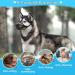 Fwlwtwss Dog Muzzle - Adjustable Rounded Mesh for Small Medium & Large Dogs | Prevents Biting Chewing & Barking - Buy Online on GoSupps.com
