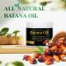 Organic Batana Oil for Hair Growth | Dr. Sebi Pure Hair Oil - Thicker Fuller Hair Prevents Loss & Repairs Split Ends | International Shipping - Buy Online on GoSupps.com