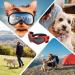 Shop Dog Glasses - Anti-UV Waterproof Windproof Sunglasses for Small & Medium Dogs | Adjustable Outdoor Gear for Travel & Parties - Buy Online on GoSupps.com