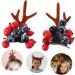 minkissy 1 Pair Christmas Antler Hair Clip Deer Horn Barrettes Hair Accessory Xmas Hair Clip Kids Hairpins Reindeer Hair Clip Christmas Hair Clips Kids Tiara Toddler Hair Piece Alloy Miss - Buy Online on GoSupps.com
