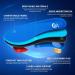 Dacat Orthopedic Insoles for Heel Spur & Plantar Fasciitis | Men's & Women's Shoes Inserts EU 44-45 - Blue - Buy Online on GoSupps.com