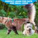 SCIROKKO Reflective Cat Leash - 30ft Escape Proof Durable Walking Lead for Kittens, Puppies, Rabbits - Black - Buy Online on GoSupps.com