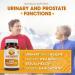 1000mg Saw Palmetto Prostate Supplement with Berry Power - Promotes Prostate Health, Reduces Frequent Urination & DHT Hair Loss - 100 Caps - Buy Online on GoSupps.com