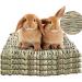 4 Pack Rabbit Grass Mat Natural Woven Hay Rabbit Bedding Bunny Chew Edible Cage Liner Straw Resting Mats for Cages Hut Guinea Pig Rodent Parrot Rabbit Bunny Hamster Rat Chinchilla-12inch Rabbit Mats - Buy Online on GoSupps.com