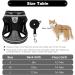 PUPTECK Breathable Escape Proof Cat Harness and Leash Set - Reflective Adjustable Soft Mesh Vest for Outdoor Walking - Size M (Chest 14-16 in) - Black - Buy Online on GoSupps.com