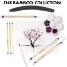 Princeton Artist Brush Co. Bamboo Series 2150 - Short Handle Round Brush Size 4 - Buy Online on GoSupps.com