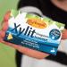Birch Gold Xylitol Chewing Gum iCemint - 24 pcs | Sugar-Free Vegan High Xylitol (70%) | Dental Care | No Titanium Dioxide No Aspartame - Buy Online on GoSupps.com