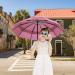 LANBRELLA Umbrella Windproof Travel Umbrella Compact Folding Reverse Umbrella E1.4 Pink 46 INCH - Buy Online on GoSupps.com