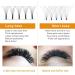 6D-C-0.07-13mm Pre Made Fan Russian Volume Lash Extensions by B&Q LASH | Short Stem Pre Fanned 0.07 0.10 Premade Fans Eyelash Extension - 6D 0.07 C 13mm - Buy Online on GoSupps.com