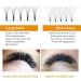Shop 6D Volume Eyelash Extensions - Soft 4D/6D Fans 0.07/0.10mm Thickness International Shipping - Buy Online on GoSupps.com