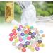  tiquettes Rondes en Plastique ABS Color es et Durables pour L'apiculture et L' levage 50 Pi ces de 3 5 Cm de Diam tre (51-100) 1 unit (Lot de 1) - Buy Online on GoSupps.com