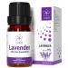 ASAKUKI Lavender Oil Essential Oil, Natural Therapeutic Grade Oils for Diffuser, Home, Candle & Soap Making, Skin & Hair Care-10ml, YAHIME Infinite Series