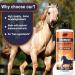Mane Shampoo Mane and Tail Shampoo 500ml Natural Mane and Tail Detangler ShampooHorse Grooming Supplies Coat Cleaner for Cleaning and Conditioning Body Wash - Buy Online on GoSupps.com