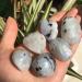 Natural Crystal Rough 100g Natural Polished Moonstone Tumbled Stone Natural Quartz Crystals Stone forCrystal Stone PEIQIYIN