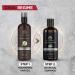 Activated Charcoal Shampoo for Men - Sulfate Free Peppermint & Clove - The Man Company - 8.4 Fl Oz - Buy Online on GoSupps.com