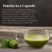 The Republic of Tea Organic UMatcha Green Tea Nespresso-Compatible Capsules (10 Count) | Matcha Green Tea | Recyclable Capsules | Pack of 1 - Buy Online on GoSupps.com
