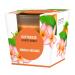 Pajoma fragrance candle mango -orange - in satin glass |120g of wax weight burning time: 25 hours in a noble gift packaging |Premium quality mango-orange 1