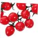 Ciieeo Educational Toys String Simulated Cherry Tomatoes Window Child Fake Food Pvc Fake Food Props - Buy Online on GoSupps.com