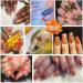 3D Fall Maple Leaf Nail Art Decals & Glitters - Metallic Red Yellow Sequins for DIY Manicures | 2 Bags - Buy Online on GoSupps.com