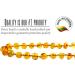 Baltic Proud Adult Amber Necklace - Natural Pain Relief for Migraines, Sinus, Arthritis - Raw Honey Color (18 Inches) - Buy Online on GoSupps.com