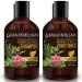 MAXIMILIAN All Natural Shampoo Deep Cleansing Natural Shampoo and Conditioner Set  10 Hair Oils & Provitamin B5  Vegan Shampoo and Conditioner Shampoo Natural Scented  2 x 16.9 Fl Oz