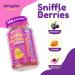 Squiggles Sniffle Berries Kids Herbal Defense Gummies - 100 ct with Elderberry  Bee Propolis & Echinacea - Buy Online on GoSupps.com
