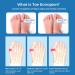 Raamka Bale Toe Corrector | Adjustable Flat Iron for Large Toes - Relief Spreader for Men & Women - Buy Online on GoSupps.com