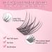 100PCS Lash Clusters - Wispy D Curl Eyelash Extensions | Fluffy Natural Volume Reusable DIY - 10-16mm Mix - Buy Online on GoSupps.com