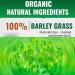 Naveta Barley Grass Powder 100% Pure & Organic Naveta Pure Organic Barley Naveta Organic Barley Grass Powder All Natural Ingredients Easy to Use and Carry (2 box) - Buy Online on GoSupps.com