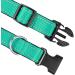 Joytale Reflective Dog Collar for Large & XL Dogs - Turquoise - Pack of 1 - International Shipping - Buy Online on GoSupps.com