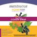 Nature's Way Sambucus HoneyBerry Nighttime Cough Syrup - 4 fl oz | Soothing Relief - Buy Online on GoSupps.com