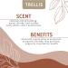 Trellis Cedarwood Essential Oil 10ml - 100% Pure Aromatherapy Oil for Home Diffusers - Natural, Vegan, Cruelty-Free - Ethically Sourced in USA, Bottled in UK - Buy Online on GoSupps.com
