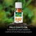 Buy Pure Salvia Palo Santo Essential Oil (50ml) - Uncut & Therapeutic Grade Aromatherapy Oil - Natural & Undiluted - International Shipping Available - Buy Online on GoSupps.com