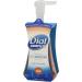 Buy Dial Complete Antibacterial Foaming Hand Wash - Original 7.5 oz | Fast International Shipping - Buy Online on GoSupps.com