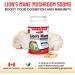 Nutridom Lion's Mane Mushroom Supplement 500mg Standardized to 30% Polysaccharides & 10% Beta-Glucan Supports Cognition & Immunity Non-GMO Vegan Gluten-free Soy & Dairy free (120 Veggie Capsules) - Buy Online on GoSupps.com