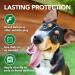 Vet's Best Flea and Tick Wipes for Dogs and Cats - 50 Multi-Purpose Treatment Wipes - Buy Online on GoSupps.com