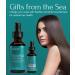 IVL Seanu Growth Serum - Boost Hair Growth & Nourish Your Scalp | Fast International Shipping - Buy Online on GoSupps.com