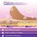 Wrinkle Patches - 160 Pre-Cut Face Tape for Instant Anti-Aging | High Elastic Kinesiology V Line & Forehead Wrinkle Solutions - Buy Online on GoSupps.com