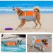 JuJubak Ripstop Dog Life Jacket | Adjustable & Reflective | Superior Buoyancy | Medium Orange + Grey - Buy Online on GoSupps.com