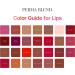 Perma Blend Sweet Lip Tattoo Kit - Lip Blushing Supplies for Enhanced Lip Color - Vegan Makeup & Microblading Ink - Set of 7 Shades Including Pink & Red (0.5 oz Each) - Buy Online on GoSupps.com