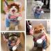 Shop Halloween Costumes for Dogs | Funny Pet Costumes & Christmas Party Role Play Suits - Buy Online on GoSupps.com