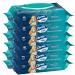 Charmin Freshmates Flushable Wipes with Refillable Tub (Pack of 6) 40 Count (Pack of 6)