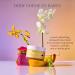 OUAI St. Barts Body Cream Bundle - Hydrating Body Cream with Cupua u Butter Coconut Oil and Squalane - Softens Skin and Delivers Healthy-Looking Glow - Sulfate-Free Skin Care (2 Count 7.5 Oz/3.4 Oz) - Buy Online on GoSupps.com