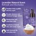 NOVEHA Lavender & Tea Tree Oil Eyelid Foaming Cleanser | Hydrating Hypoallergenic Daily Soap for Eyelashes Demodex & Eye Irritations | 3.38 fl oz (100ml) - Shop Internationally - Buy Online on GoSupps.com